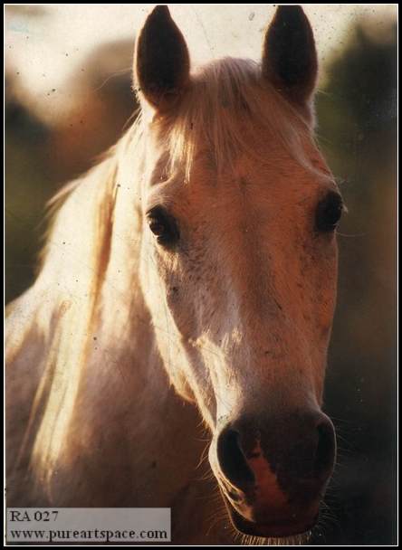 horse oil painting