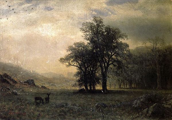 deer in a lanscape