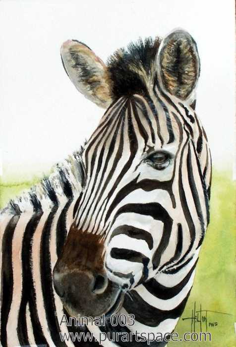 zebra oil paintings