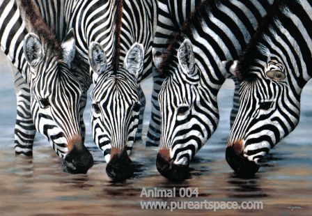 zebra oil paintings