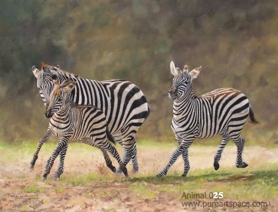 zebra oil paintings