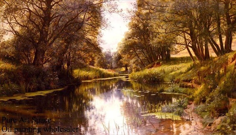 A winding stream in summer