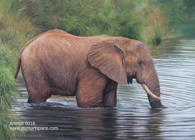 Elephant oil paintings