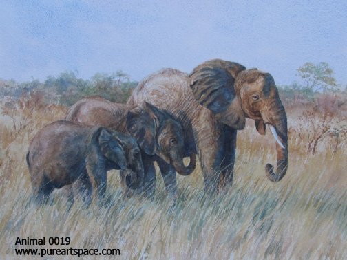 Elephant oil paintings