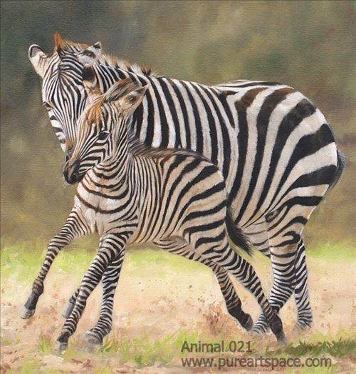 Zebra art paintings